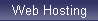 Web Hosting