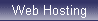 Web Hosting